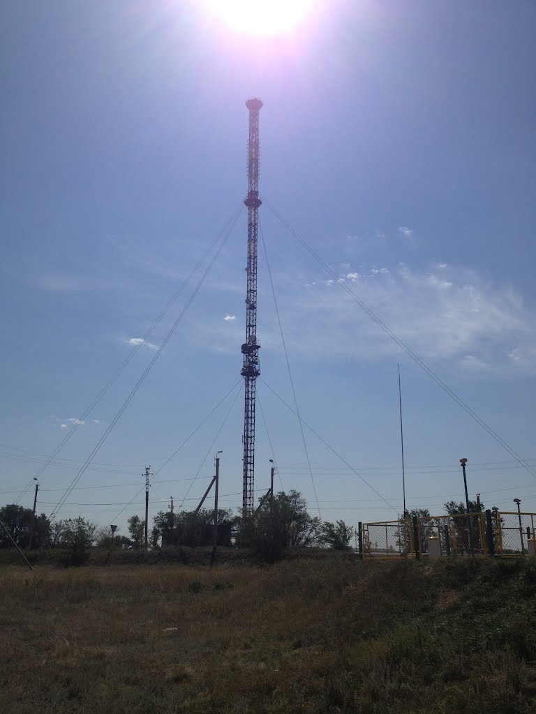 Вышка Державинск.