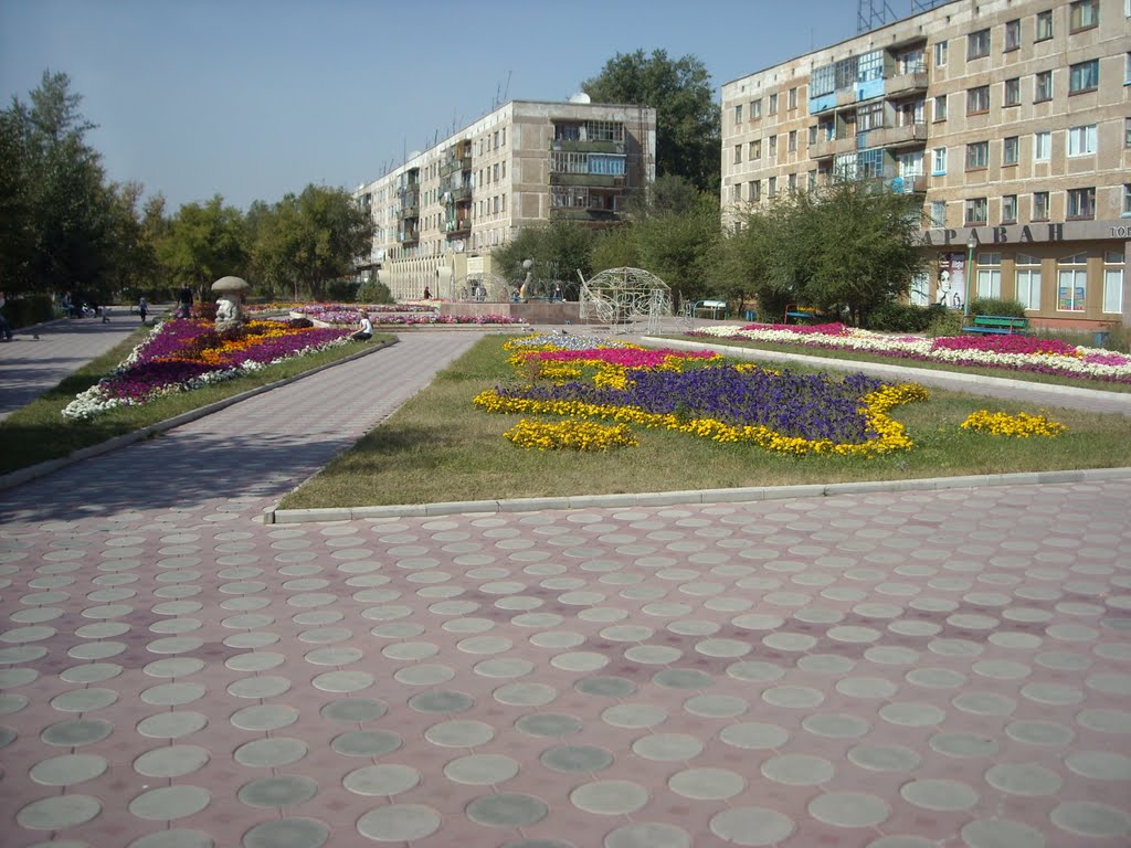 площадь у каравана
