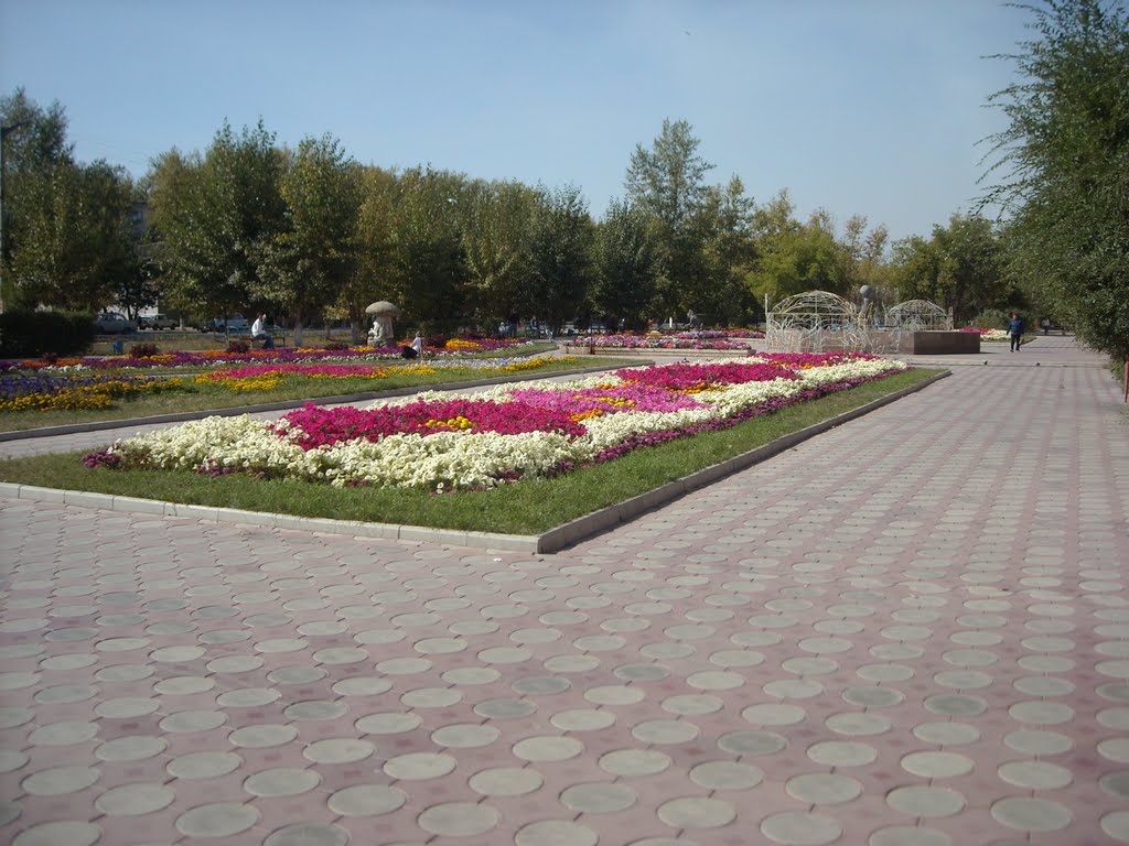 площадь у каравана