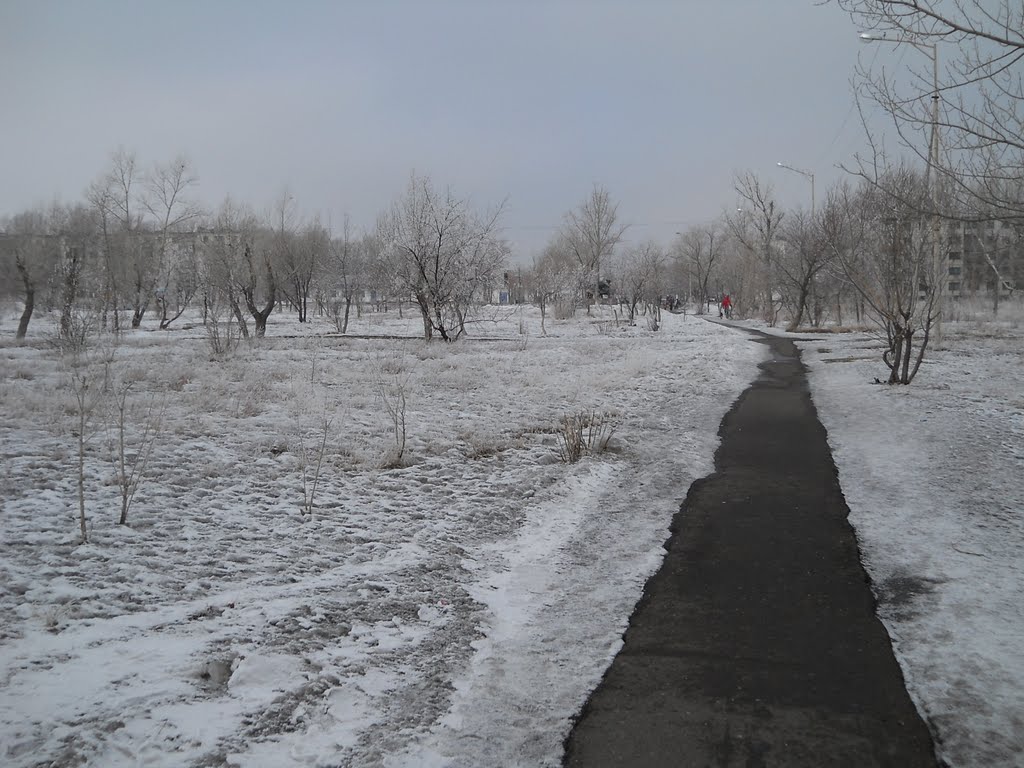 Центральный парк