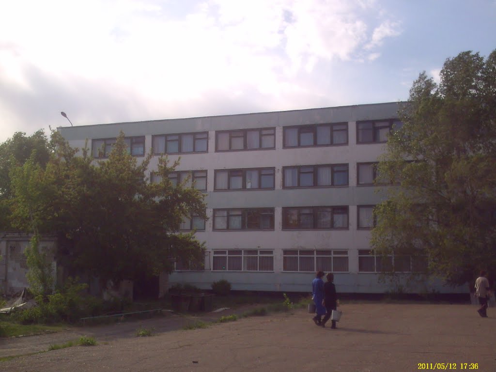 Школа №8 15/18