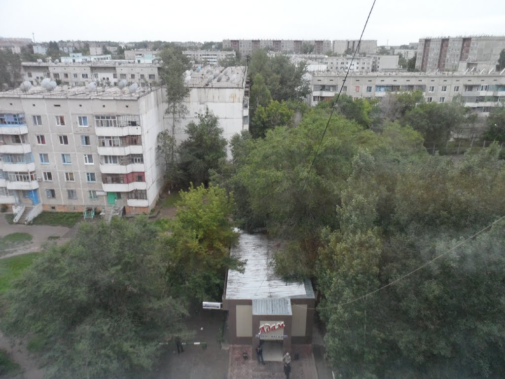 Адам