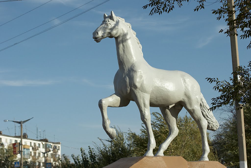 Конь