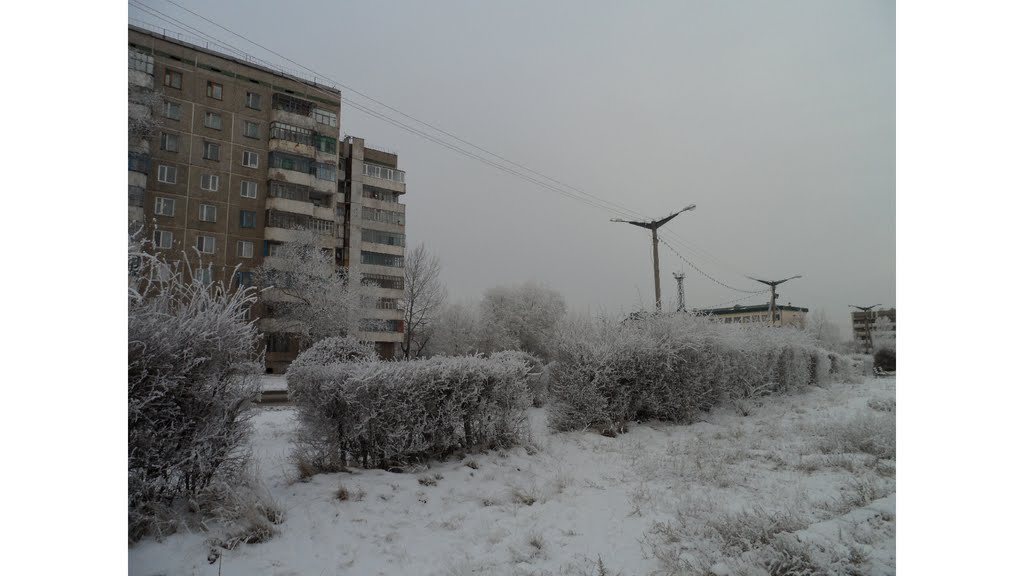Зима