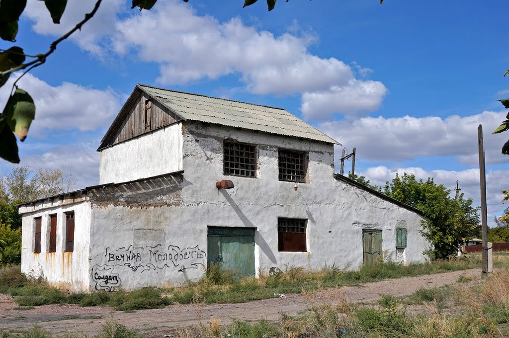 Старая мельница