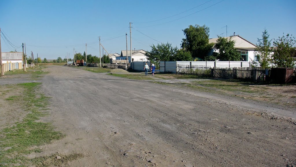 Улица Пушкина