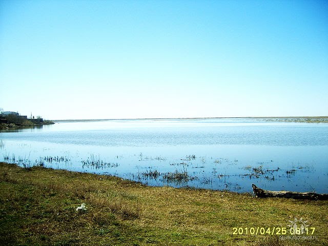 Старица