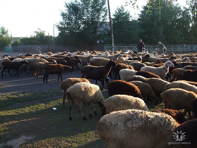 Ул.Калинина