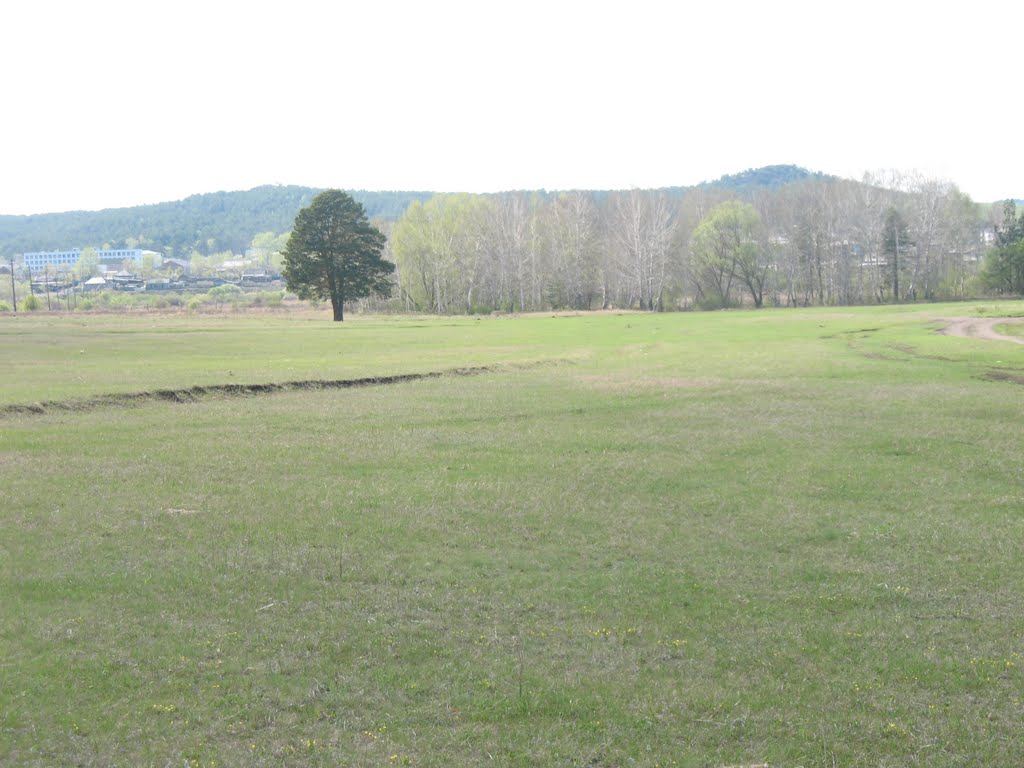 Вид на Балкашино восточной стороны