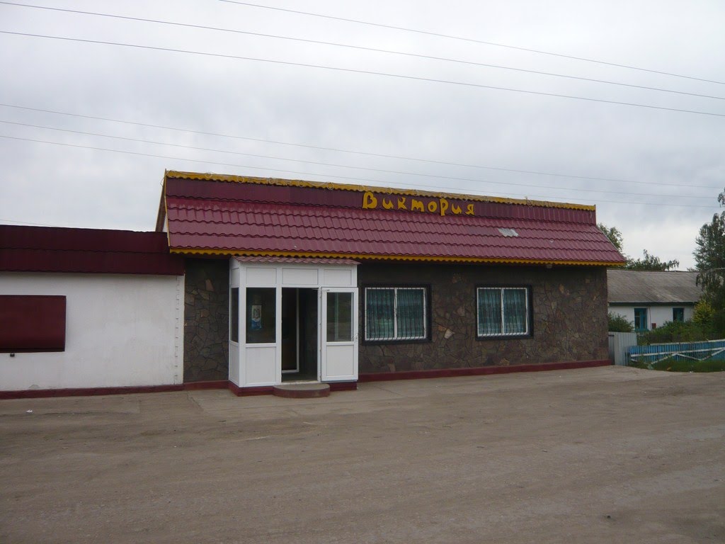 Магазин "Виктория"