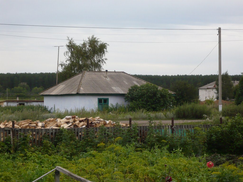 Балкашино. ул. Смирнова