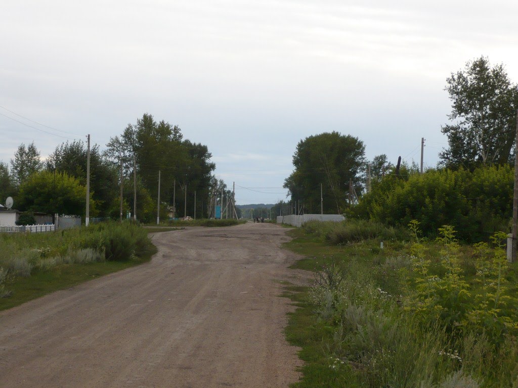 Балкашино. ул. Смирнова