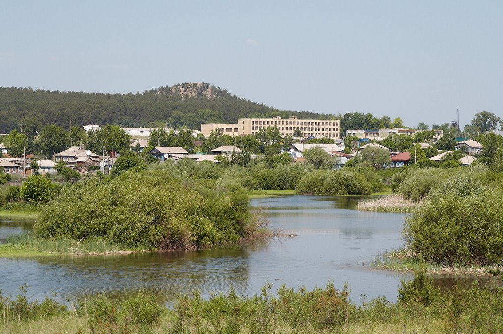 вид на школу с левого берега