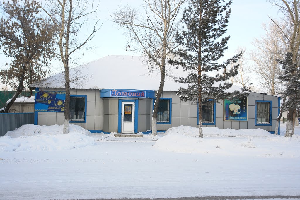 Маг. "Домовой"