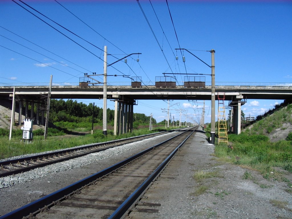 ЖД мост