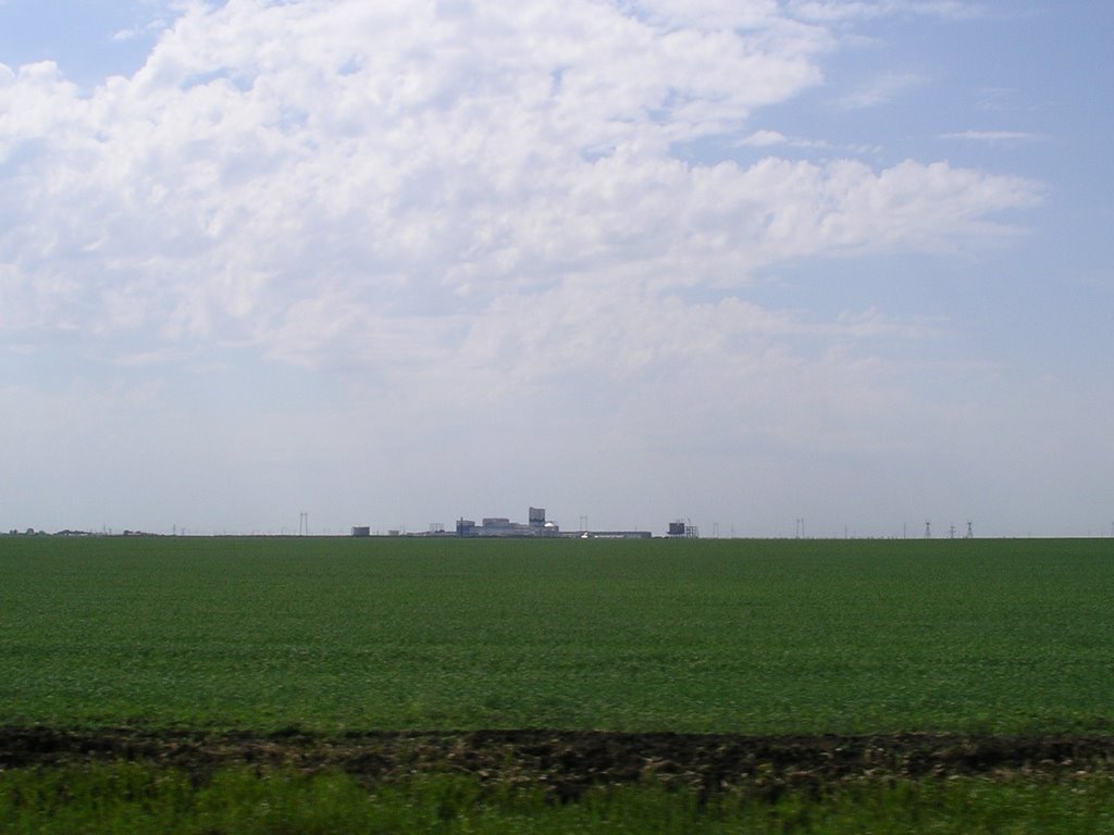 Пресловутый "биохим"