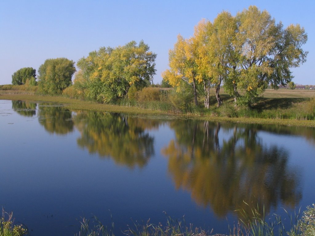 Старица