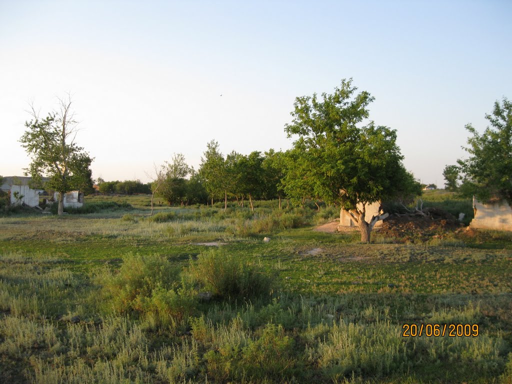 Ruins of left houses in Zholymbet