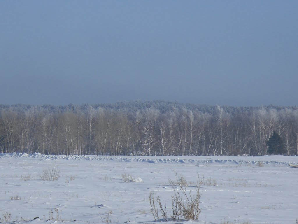 Третья сопка