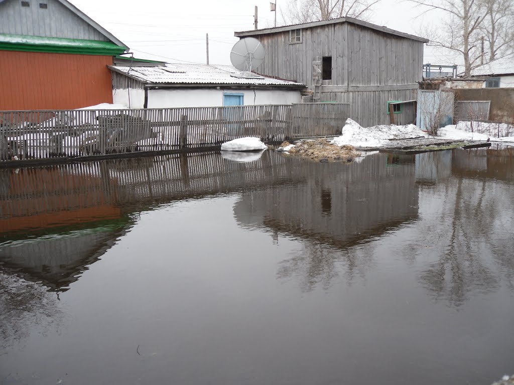 Уютный пруд без лебедей