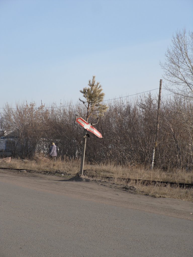 Осторожно ёлка!