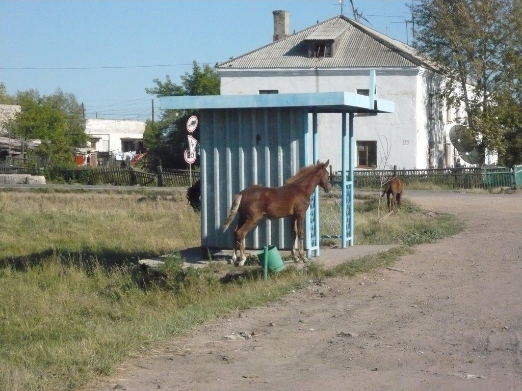 Поворот на ул. Московскую