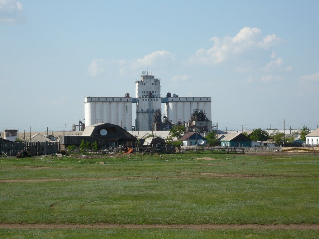 Макинский элеватор