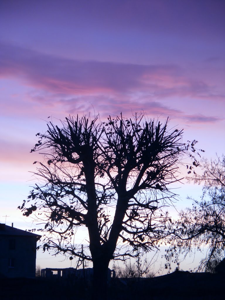 Рассвет (Sunrise)