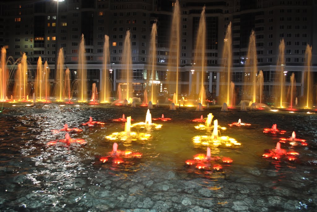 Світло-музичне фонтанне шоу_Fountain. Light and music show