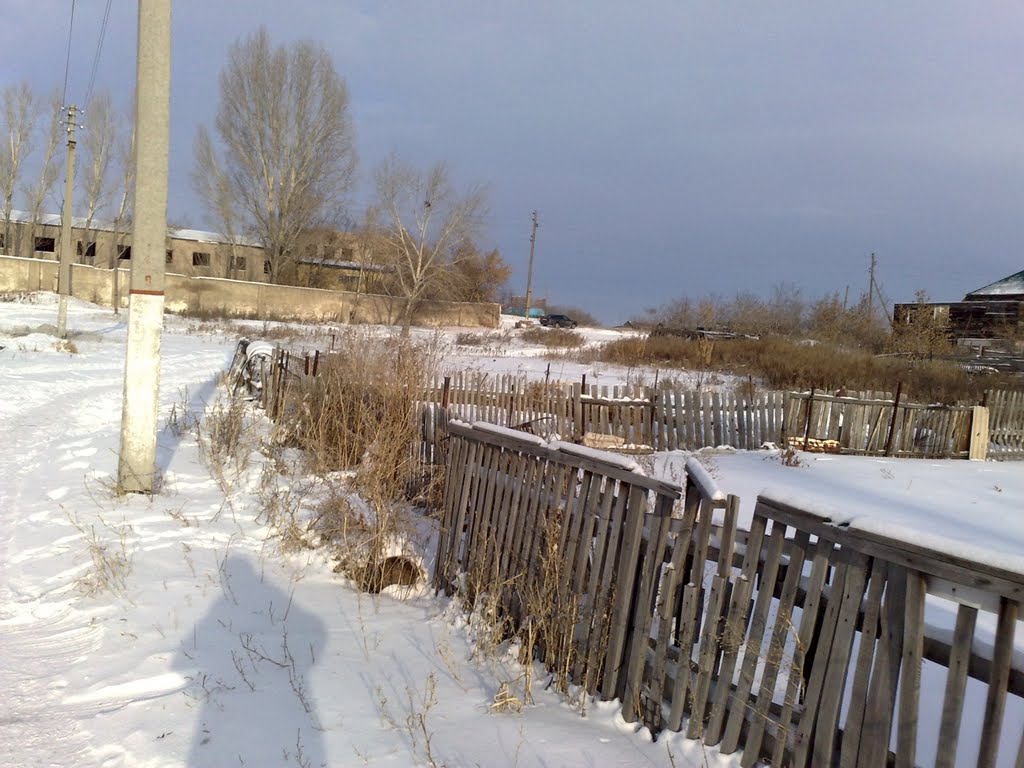 Akkol
