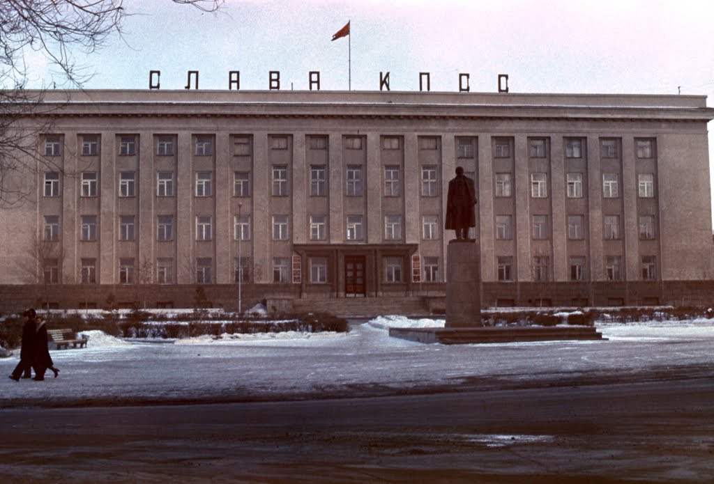 1981