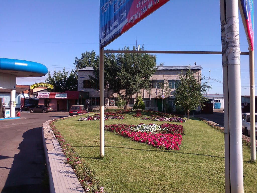 Клумба. На северо-запад