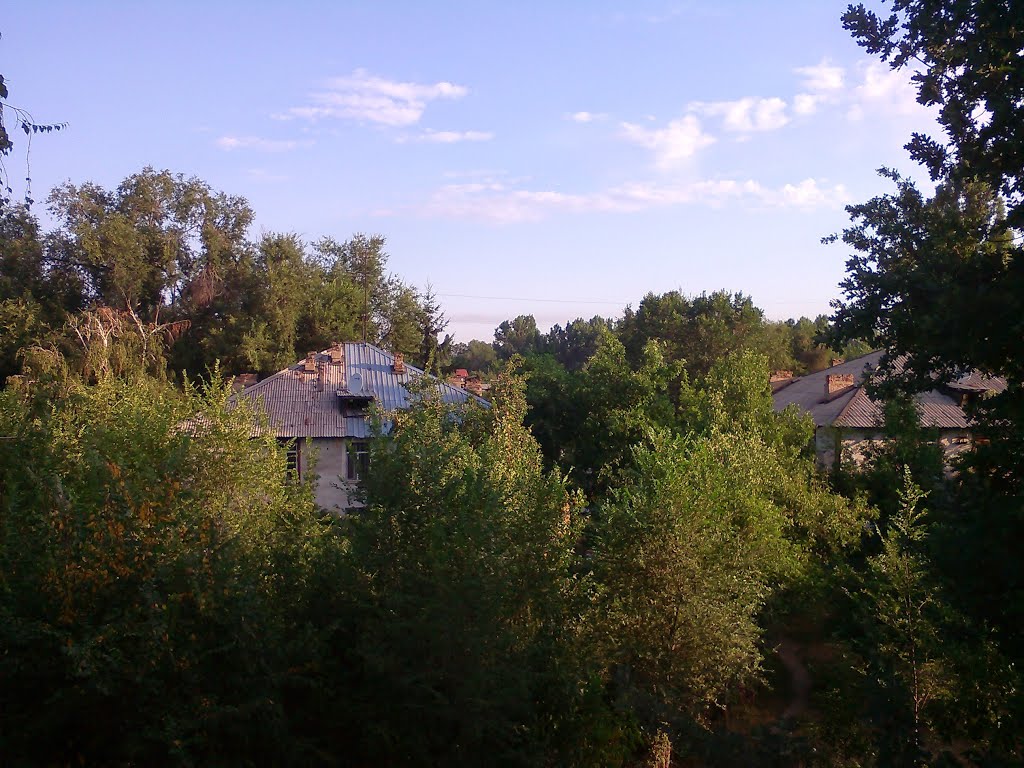 На север