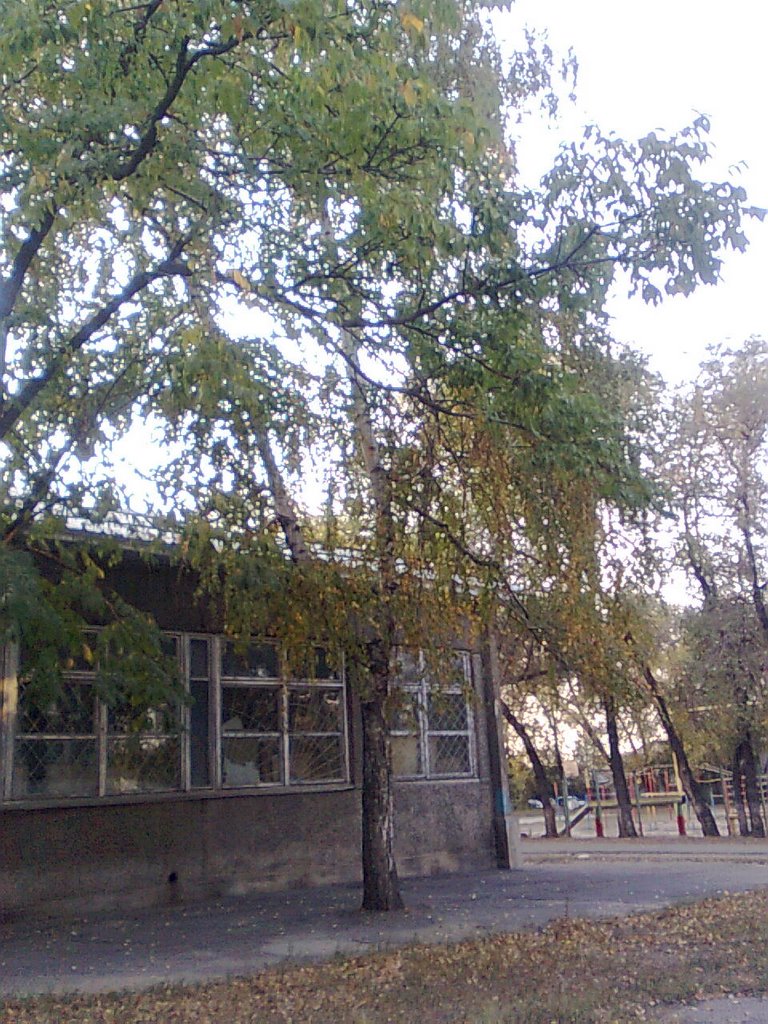 shkola 114