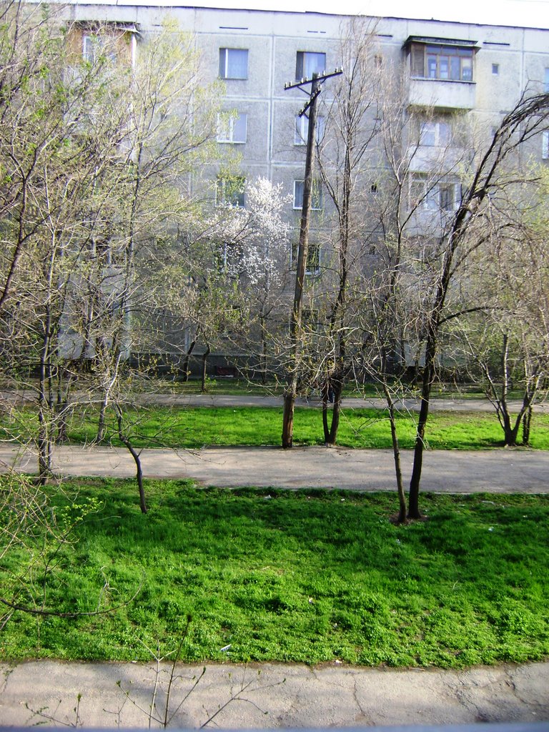 view from the window
