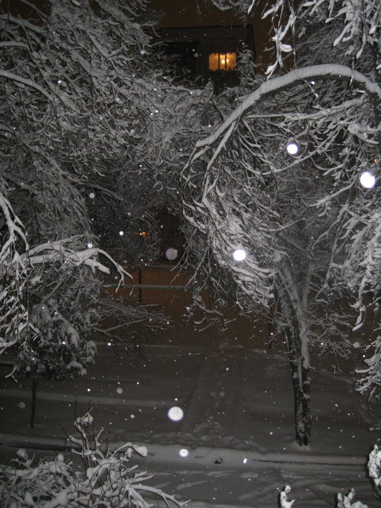 Beauty of Almatys winter