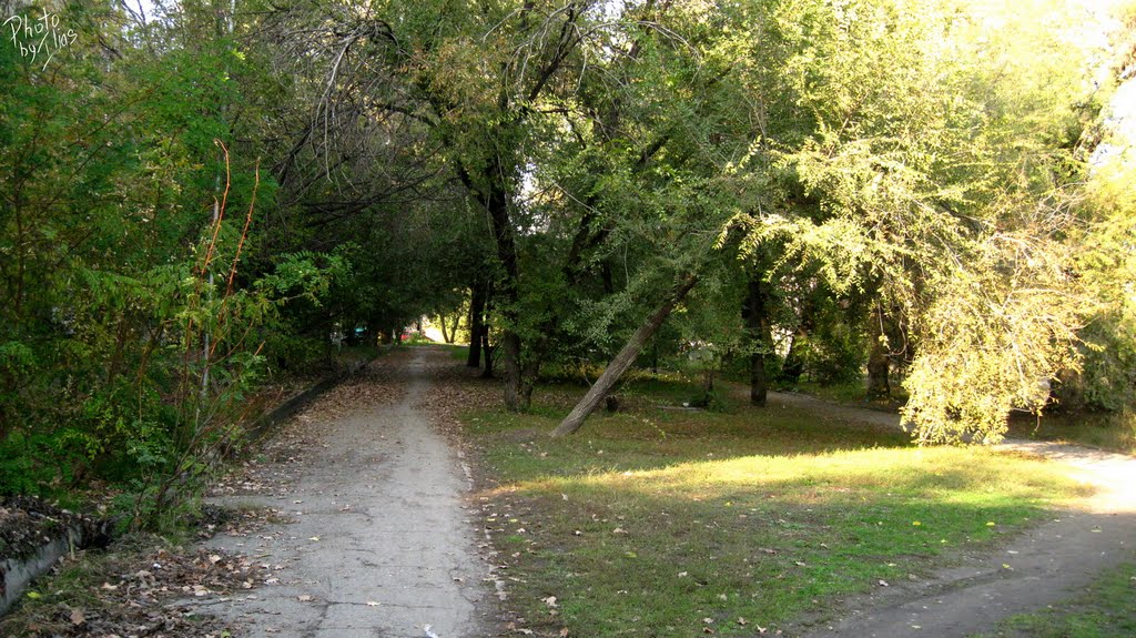 ул.Брусиловского