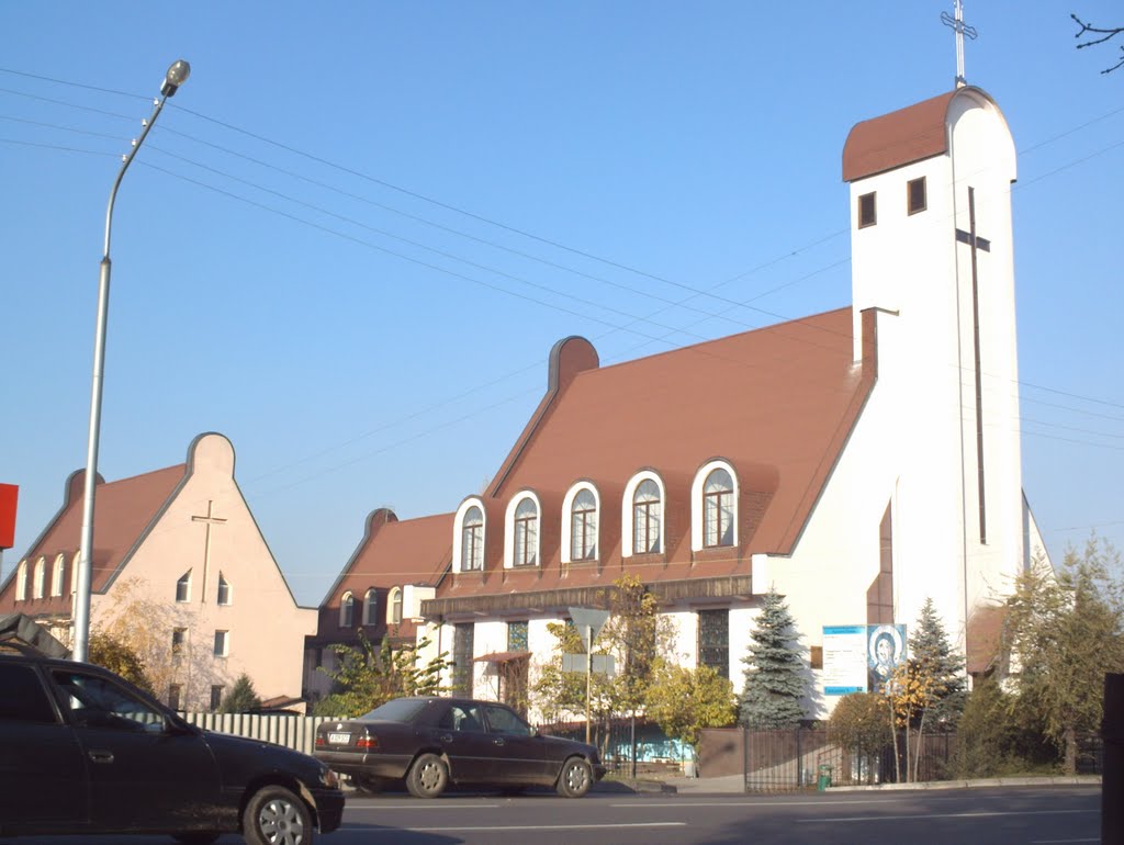 The Roman Catholic Church