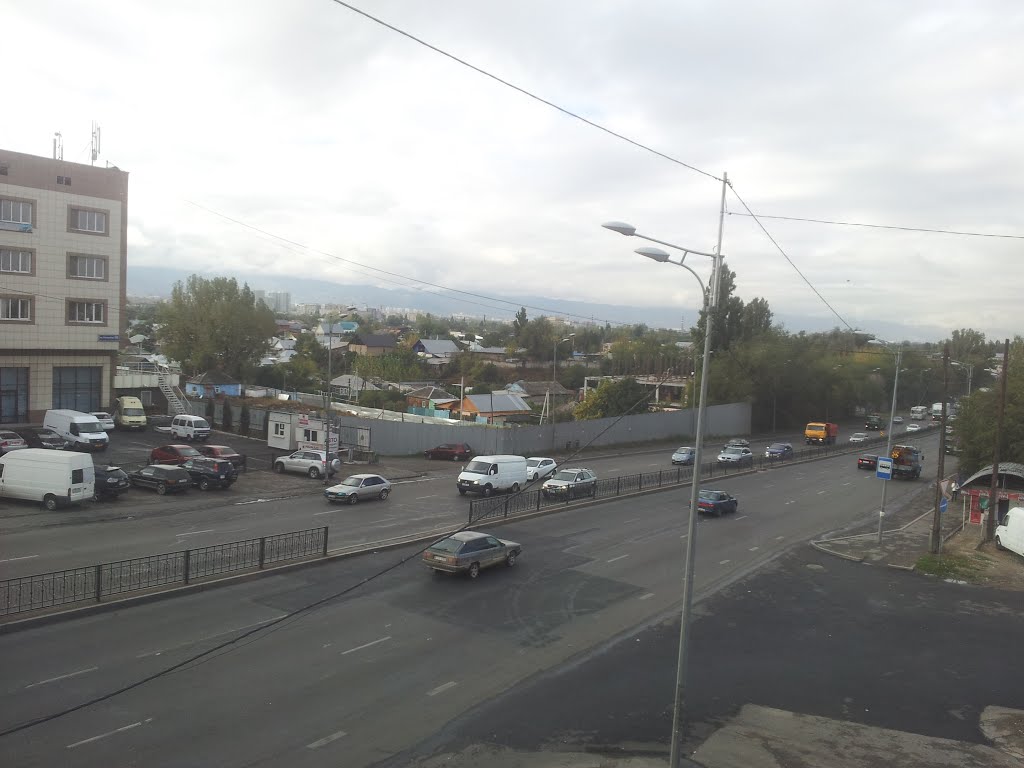 Вид с пешеходного мостика на юго-запад