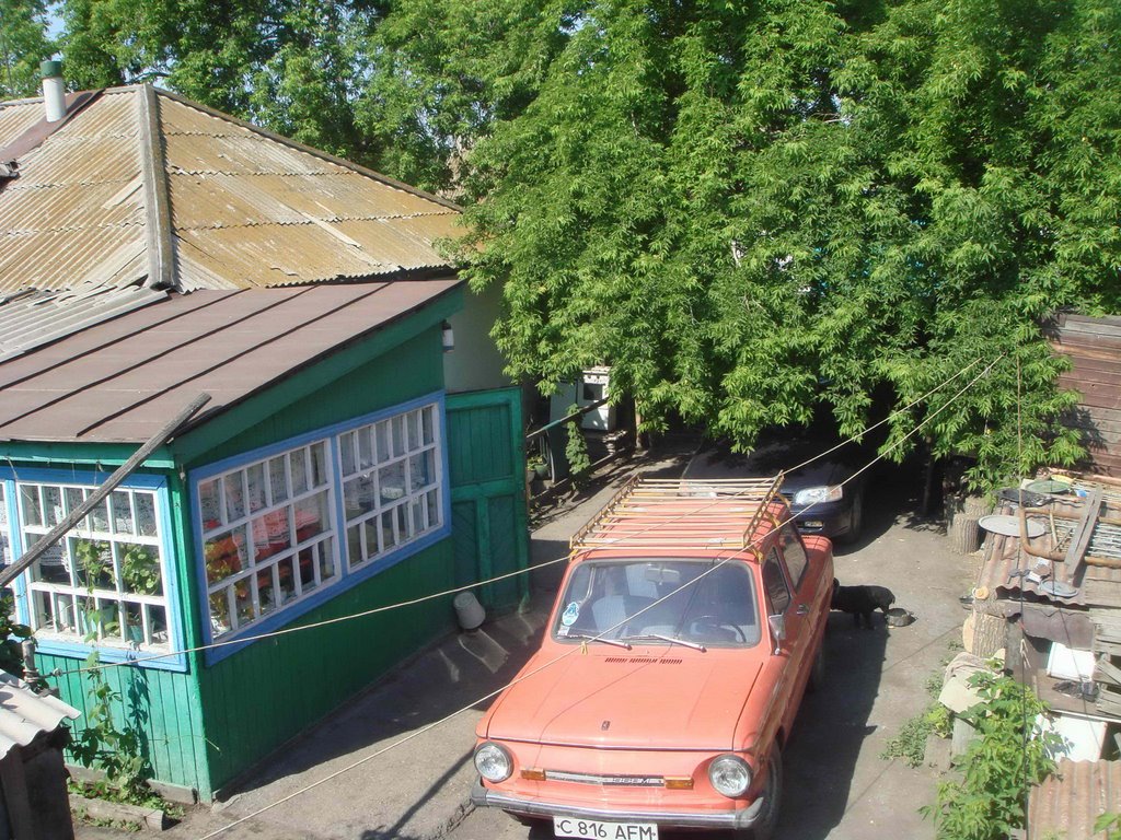 "Запорожец"