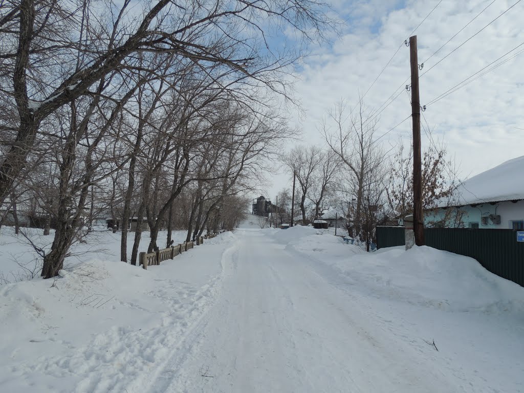 ул.Элеваторная