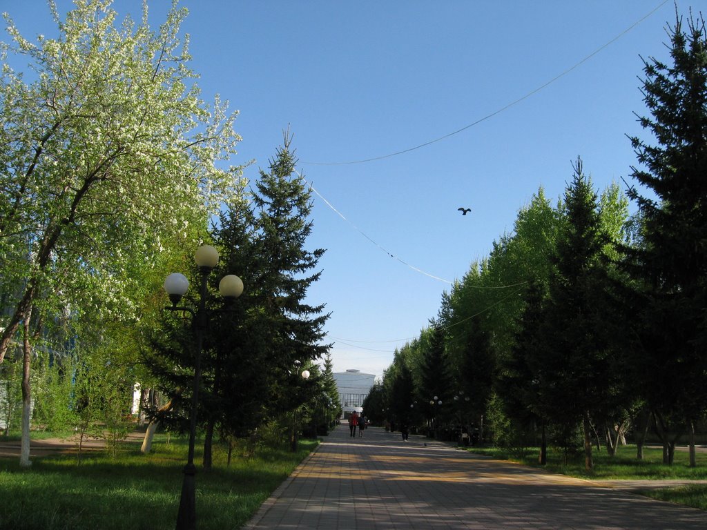 ул. К.Сатпаева (старое ул. Ленина)