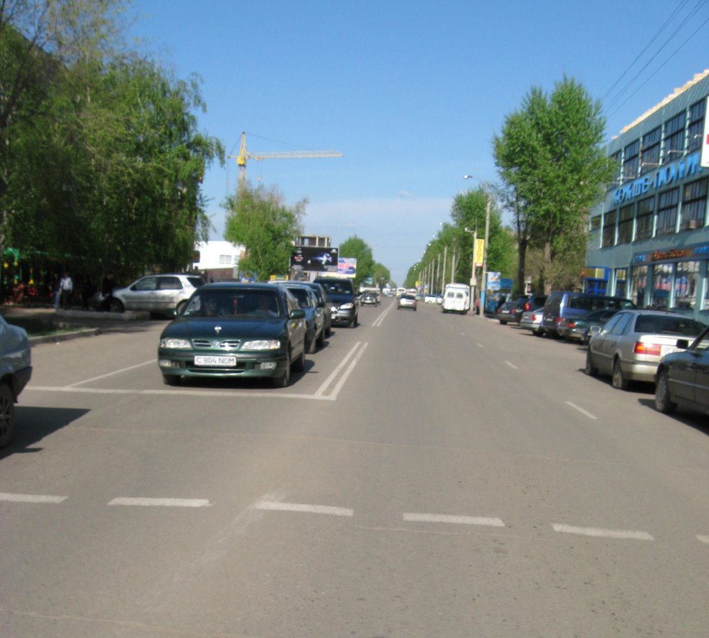 кокше-полиграфия по ул. Е.Ауельбекова (старое Урицкого )