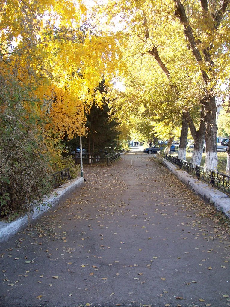 Fall In Kokshetau