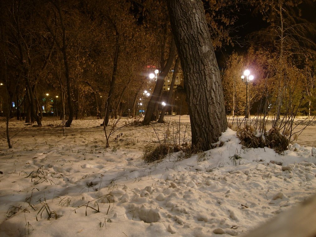 парк в центре