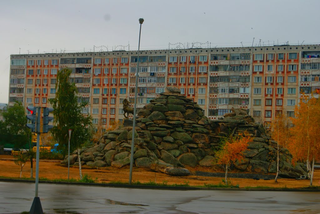 Горный козел в Кокчетаве