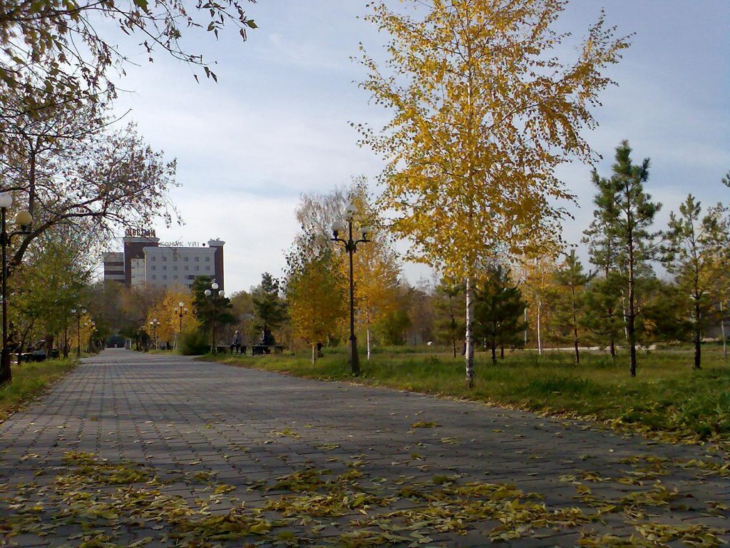Central Park - Autumn