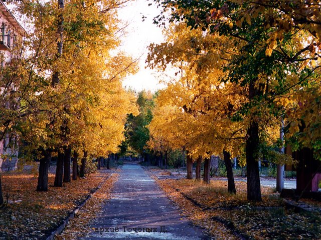 Такая была осень (из серии БЫЛОЕ)