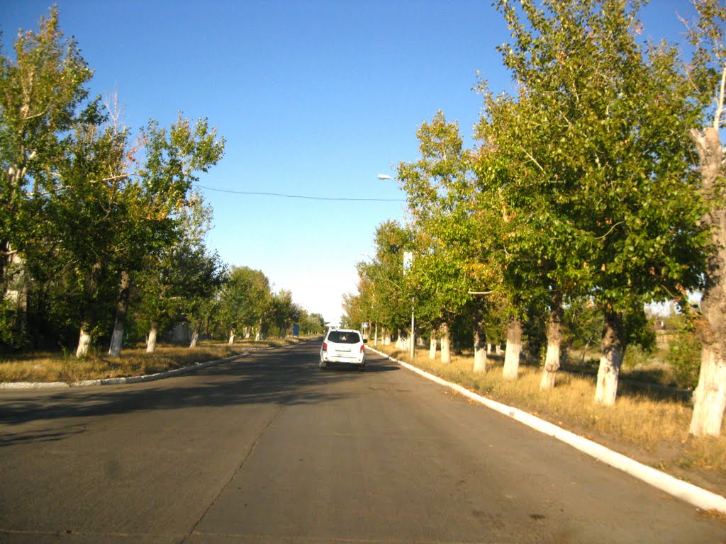 Kurchatov St.