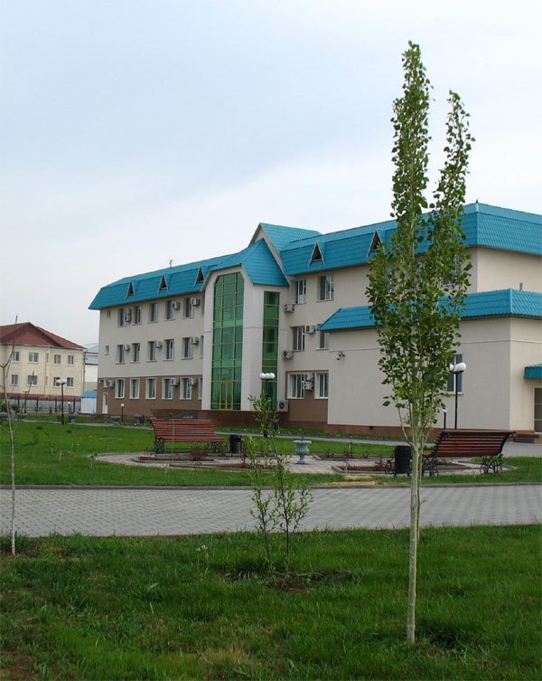 TP headoffice